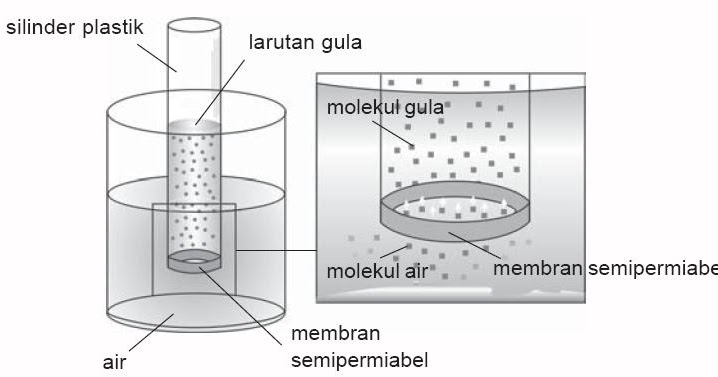 Contoh Artikel Ilmiah Sains - Contoh 408