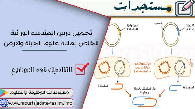 تحميل درس الهندسة الوراثية الخاص بمادة علوم الحياة والارض