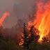 49 δασικές πυρκαγιές σε ένα 24ωρο -Οι περισσότερες αντιμετωπίστηκαν άμεσα, στο αρχικό τους στάδιο