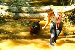 Pet´s 23 (51)