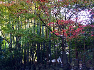 鎌倉の報国寺