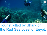 https://sciencythoughts.blogspot.com/2018/08/tourist-killed-by-shark-on-red-sea.html