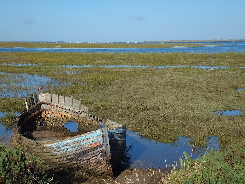 Marshes near Blakeney