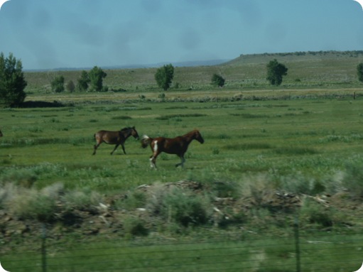 From Menkhaven Park to Colorado Springs 001