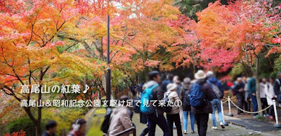 一度は行っておかないと！高尾山の紅葉！