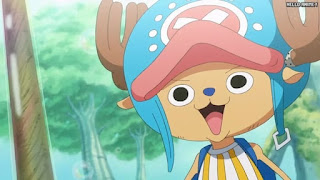 ワンピースアニメ 2年後シャボンディ諸島 522話 チョッパー Tony Tony Chopper | ONE PIECE Episode 522