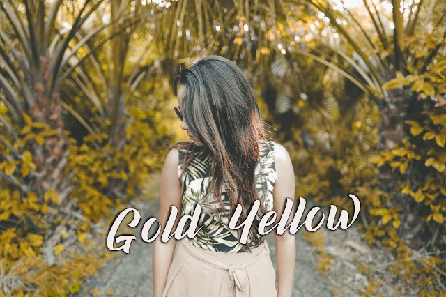 Golden Yellow Preset ( Free) 