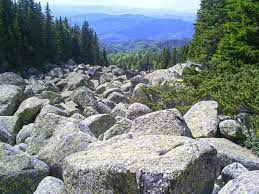 A river in the world in which stone is the place of water - Stone River