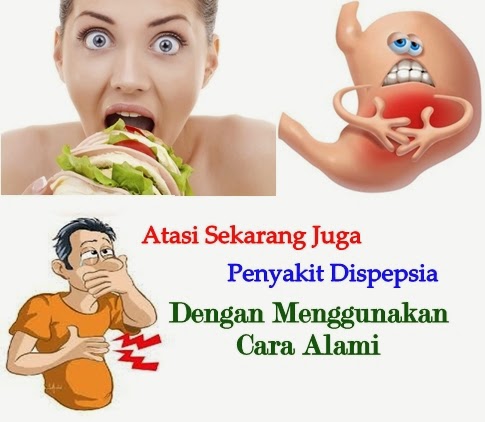 Obat Tradisional Dispepsia