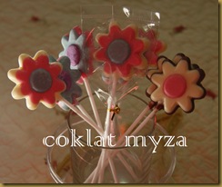 Coklat 16.3.2011 012