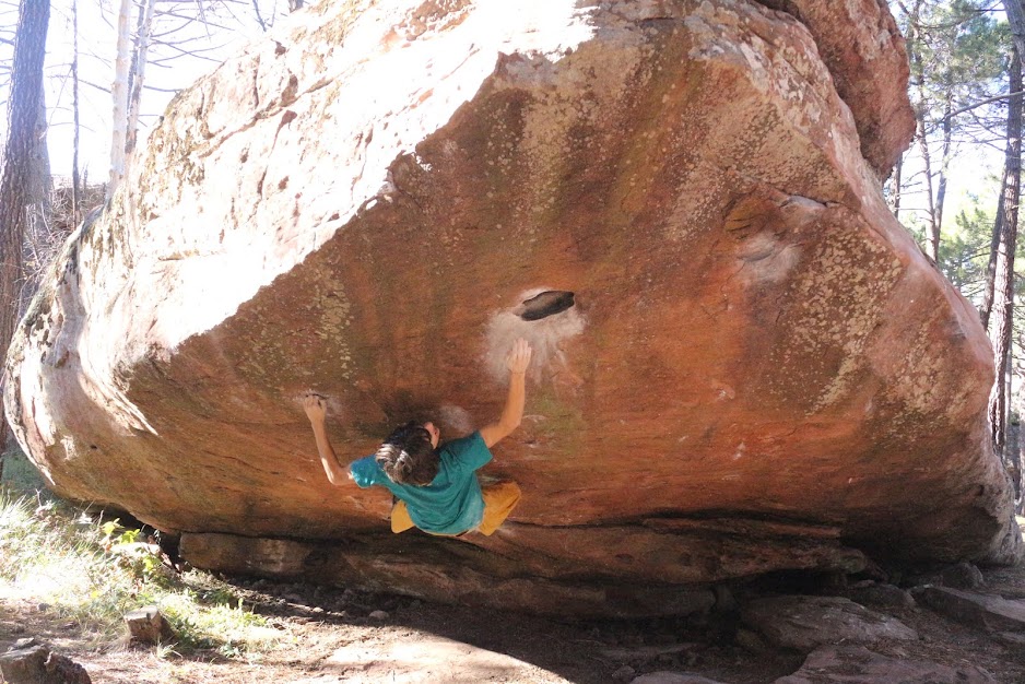 cosmos 8a