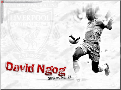 David Ngog Wallpaper 2011