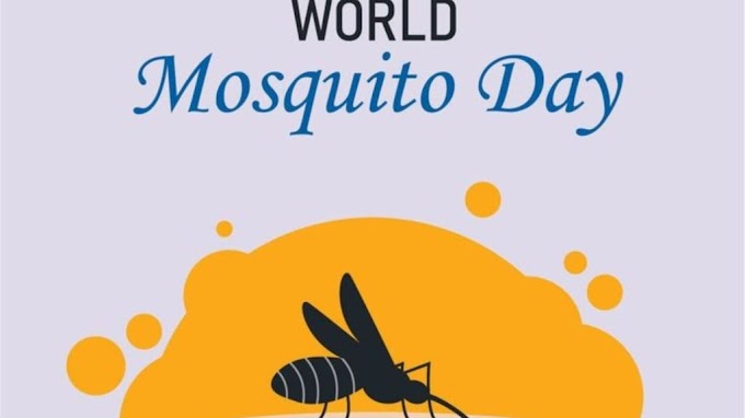 World Mosquito Day 2023 Quotes and Messages