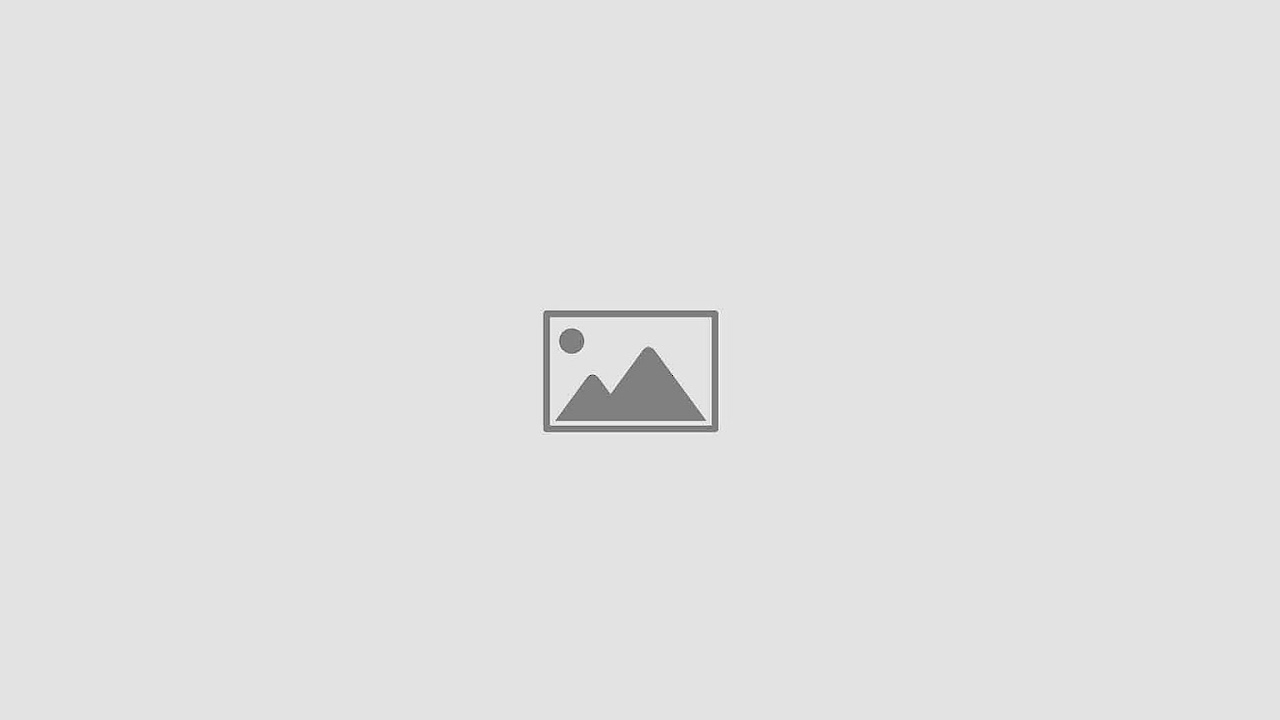 Blue Ridge Ga Pet Friendly Cabins