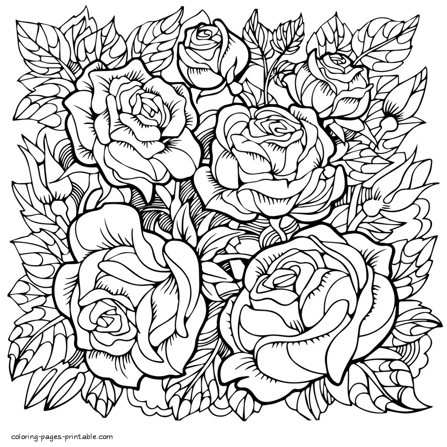 Coloring Flower Pages For Adults To