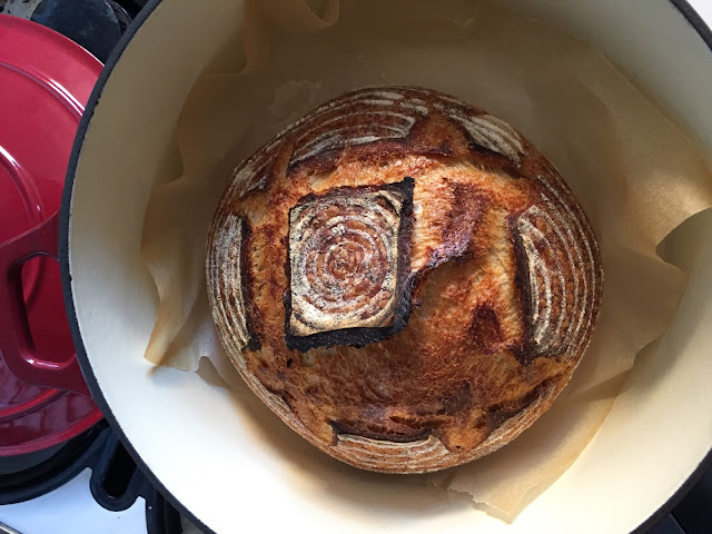 sourdough | salt sugar and i