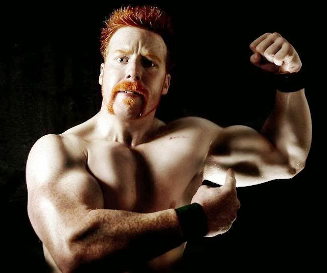  Sheamus Hd Wallpapers Free Download