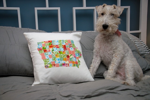 Pillow 016