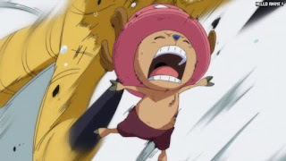 ワンピースアニメ 506話 トリノ王国 チョッパー かわいい Tony Tony Chopper | ONE PIECE Episode 506