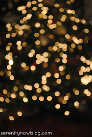 Christmas Tree Photo 2012, Serenity Now blog