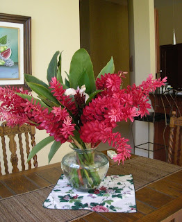 red hibiscus