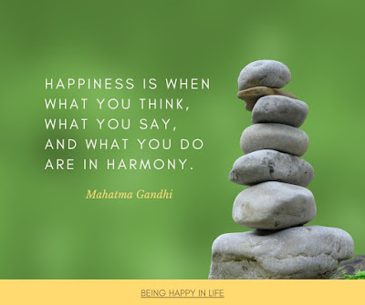 Happiness is when what you think, what you say, and what you do are in harmony. Mahatma Gandhi quote