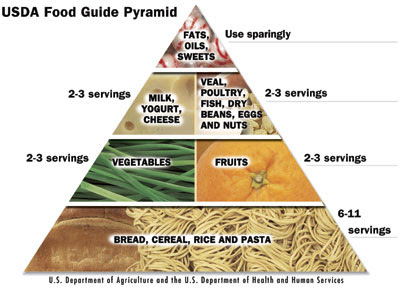 The U.S. Department of Agriculture's Food Pyramid, for those of you ...