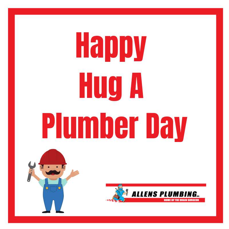 National Hug a Plumber Day Wishes