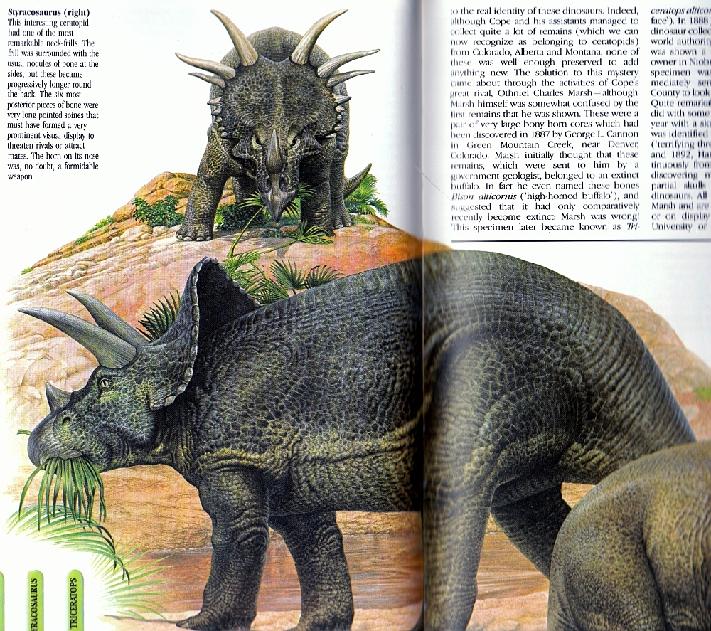 Dinosaur of - in Art: bonus! Love poster Free National January Chasmosaurs: Geographic, the 1993 Vintage Time Dinosaurs,