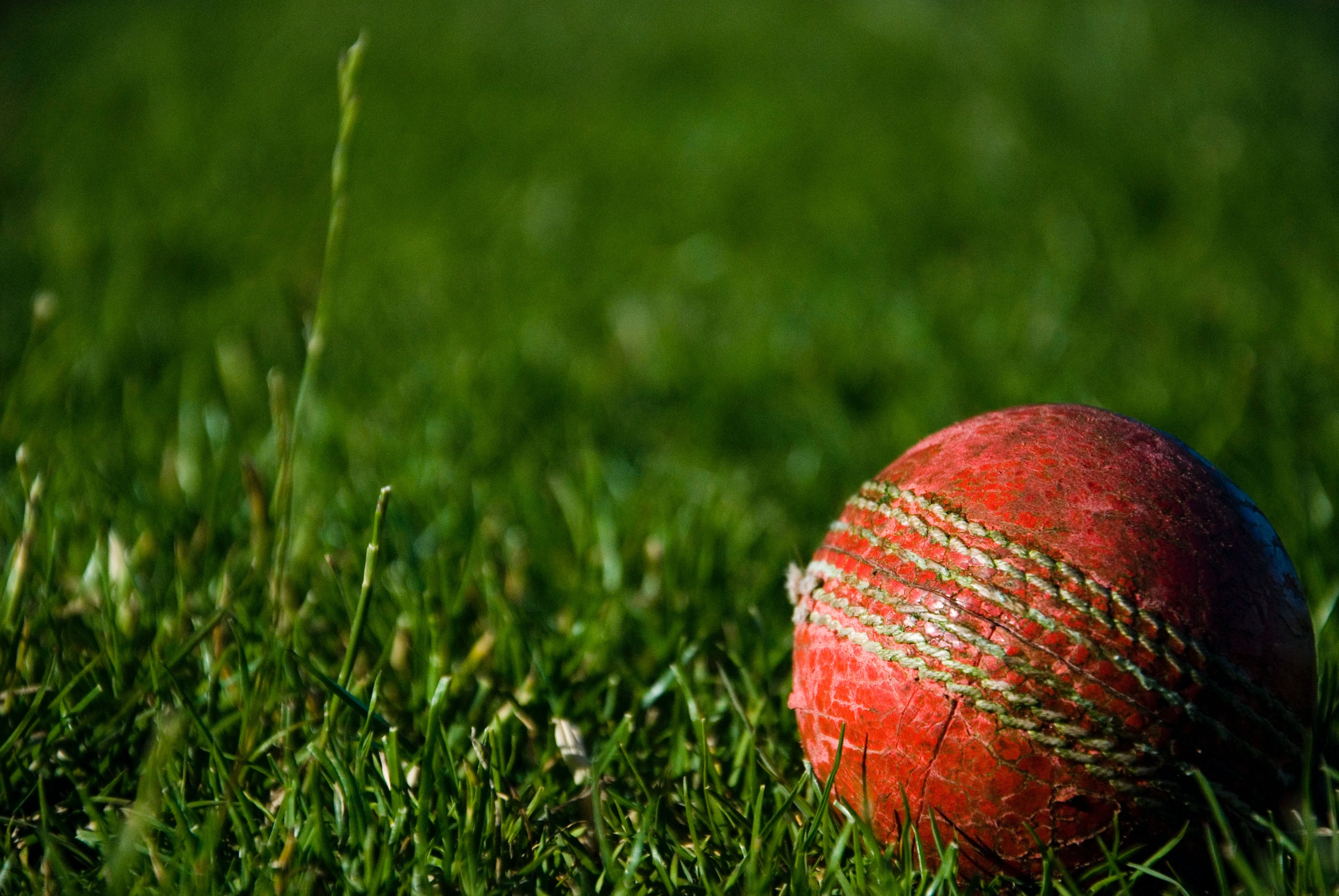 100+ Best Instagram Names For Cricket Lovers: Express Your Love for the Game in Style!