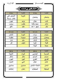 مذكرة لغة عربية رائعة للصف الثالث الابتدائي الترم الأول للاستاذ محمد ثروت