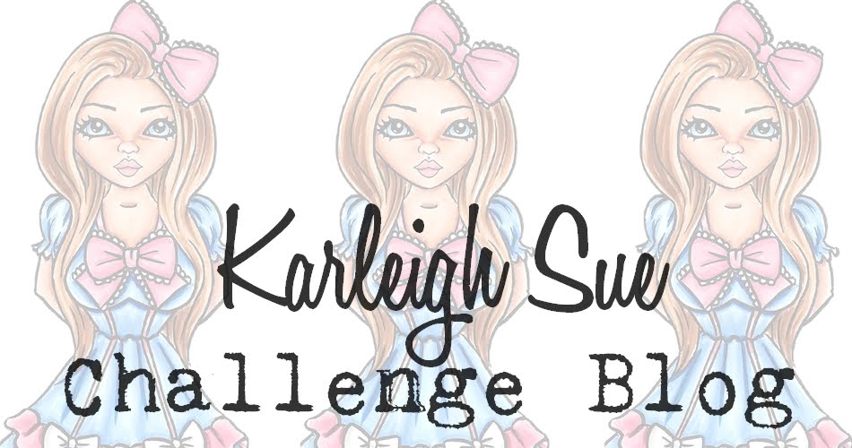 Karleigh Sue Challenge Blog