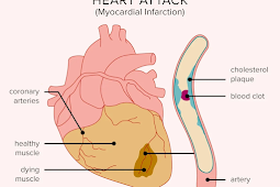 The Dynamic Duo: Exploring the Symbiotic Relationship Between Brain, Heart, and Physical Activity in Cardiology and Exercise Science