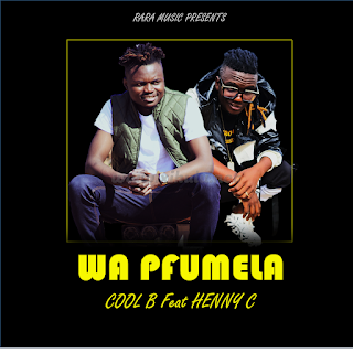 Download mp3:Cool B WA pfumela ft Henny C 