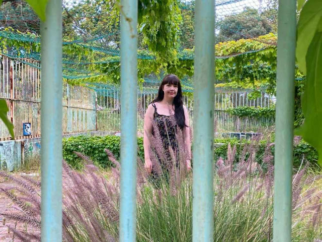 Blogger behind bars at Cape Town’s abandoned Zoo