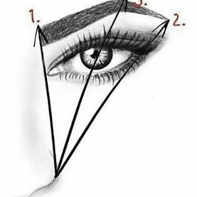 Les points de repère pour des sourcils parfaits - Blog beauté Les Mousquetettes