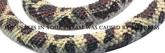 what does it mean when you dream about snakes