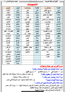 مذكرة لغة عربية الصف الرابع الابتدائى الترم الاول