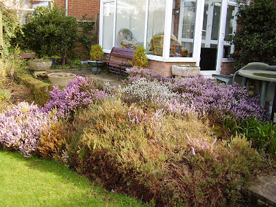 spring/winter heather