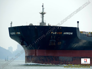 Plover Arrow