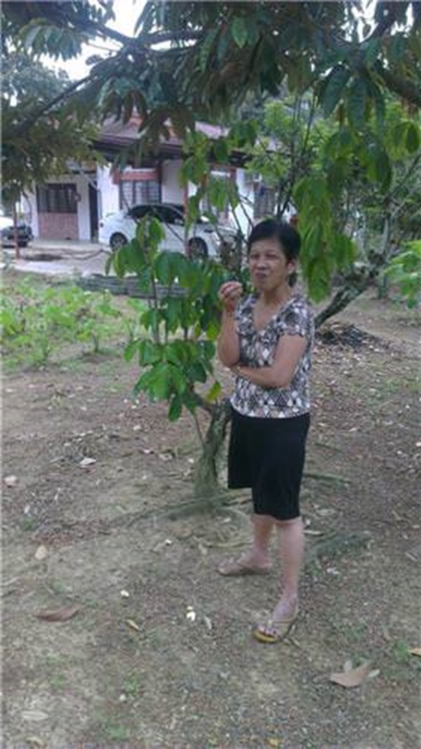 clip_image002