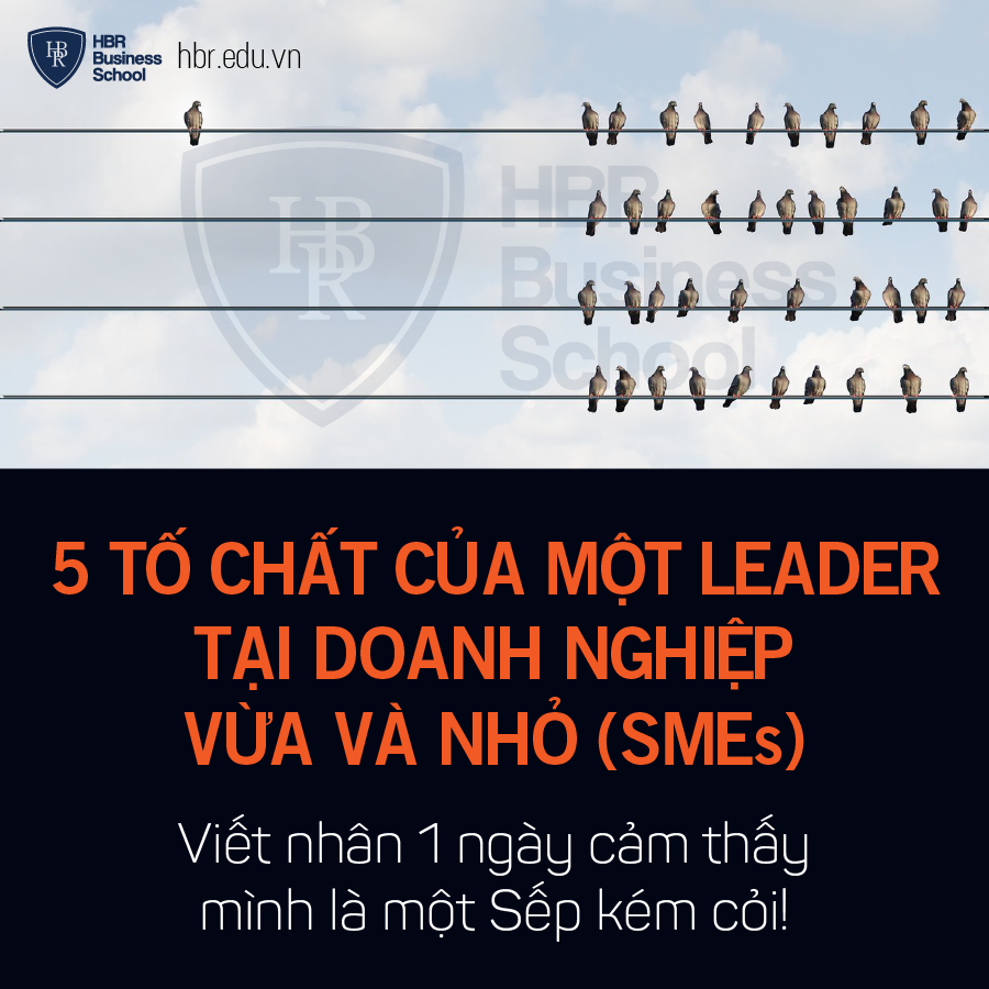 5 tố chất của một leader tại doanh nghiệp vừa và nhỏ (SMEs)