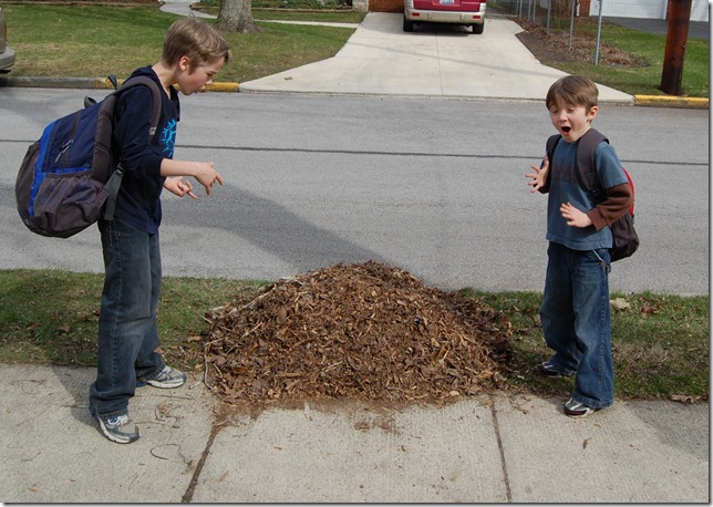 boy eating leaf pile