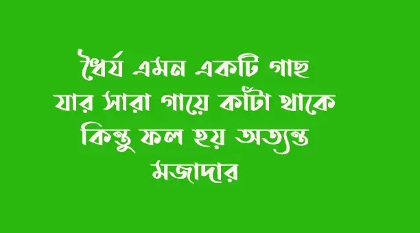 ইসলামিক কষ্টের স্ট্যাটাস