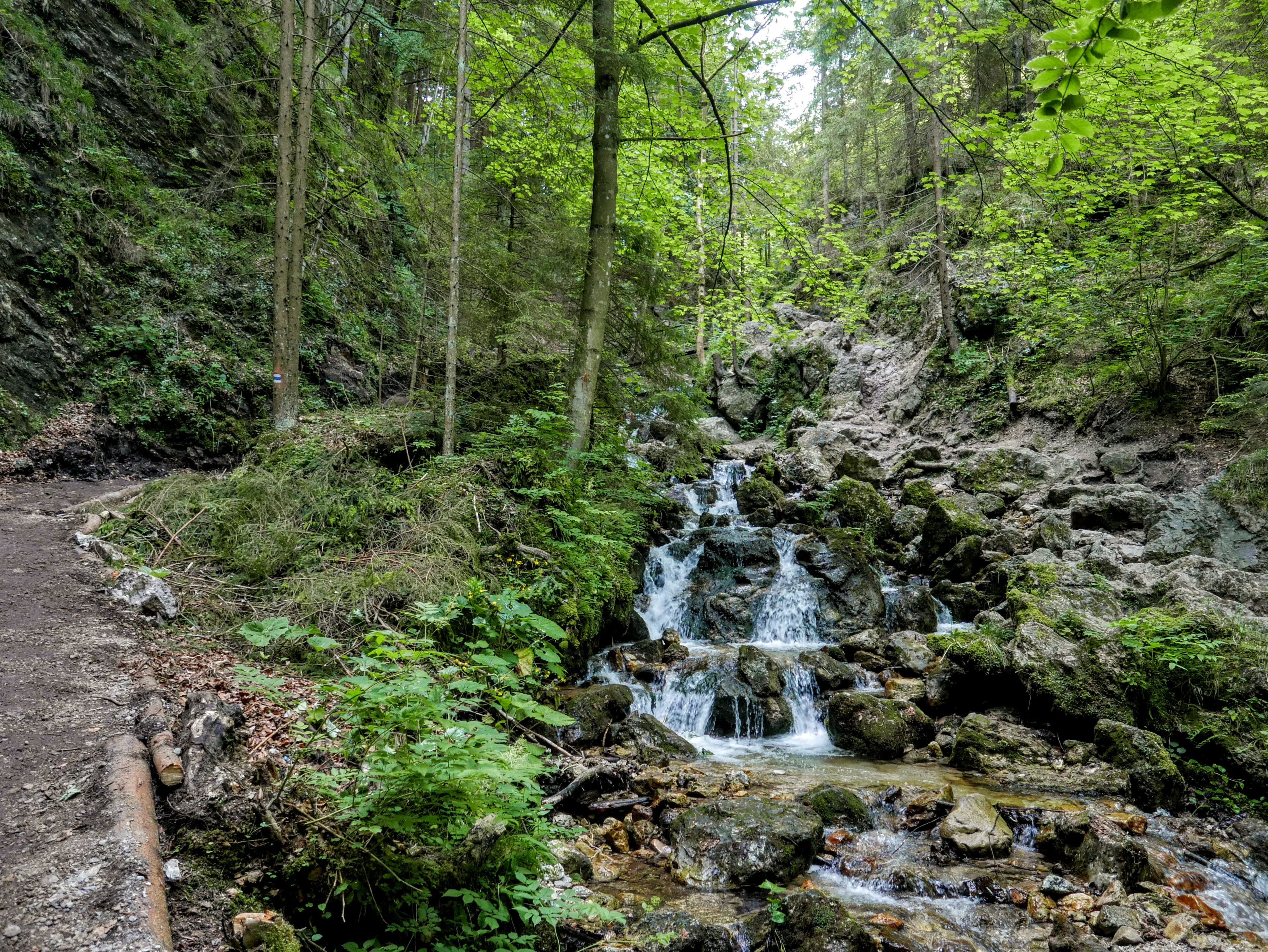 Mała Fatra. Narodowy Park Mała Fatra. Diery Słowacja.