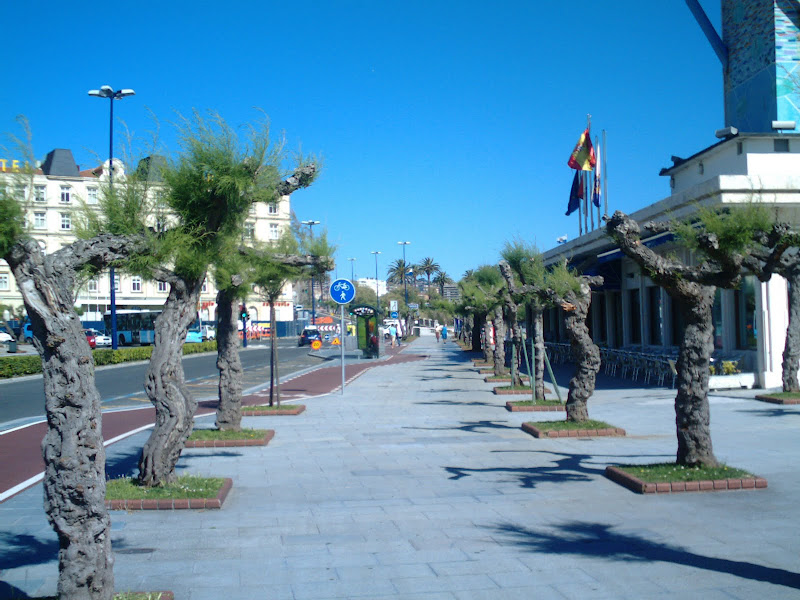 Avenida de Castañeda al fondo