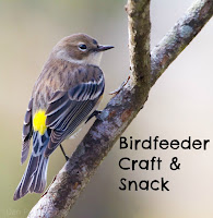 Craft Bird Feeders