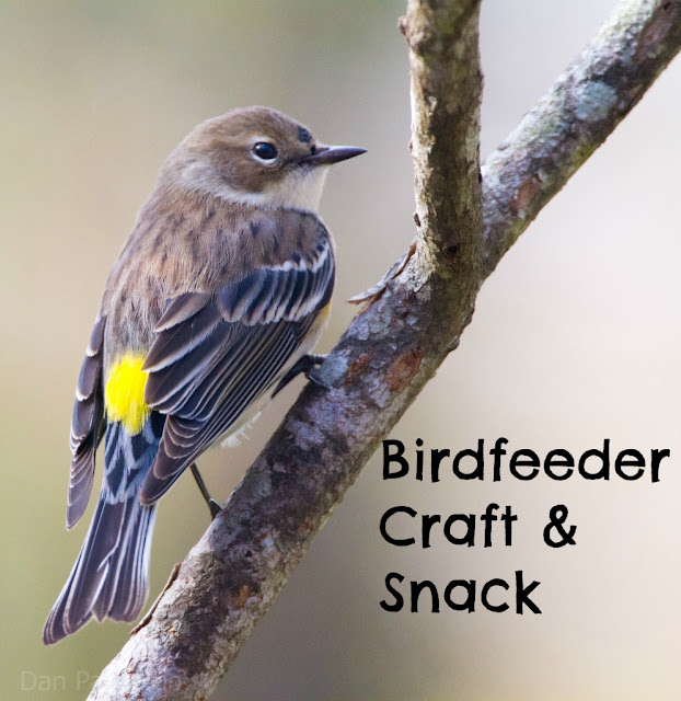 Craft Bird Feeders