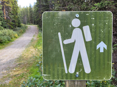 Peter Lougheed Provincial Park trail.