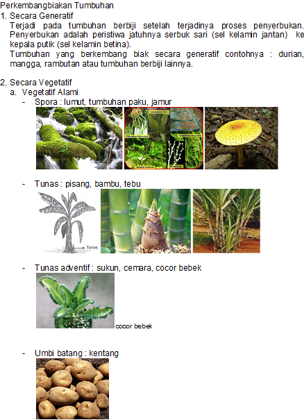 PERKEMBANGBIAKAN HEWAN  DAN TUMBUHAN asa generasiku